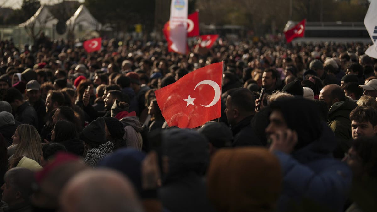 Anti-Erdogan protests