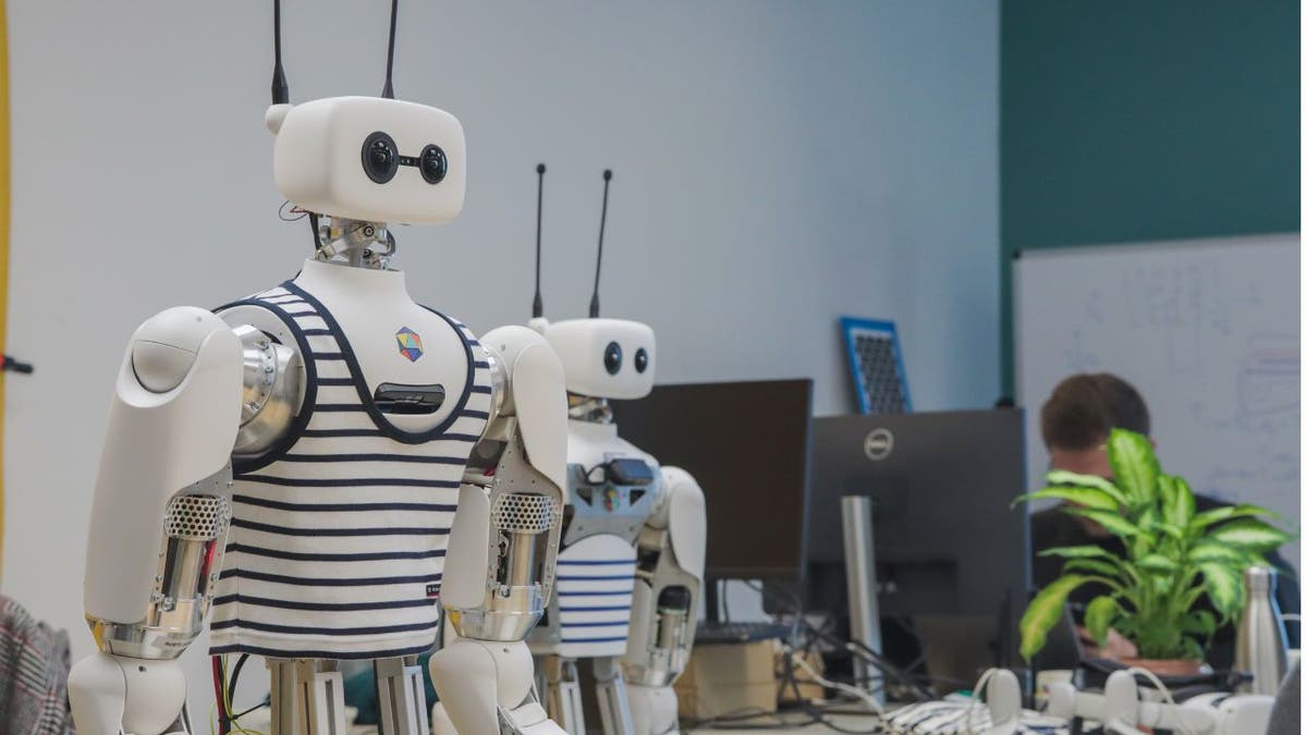 reachy the robot 3