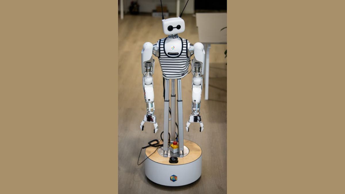 reachy the robot 4