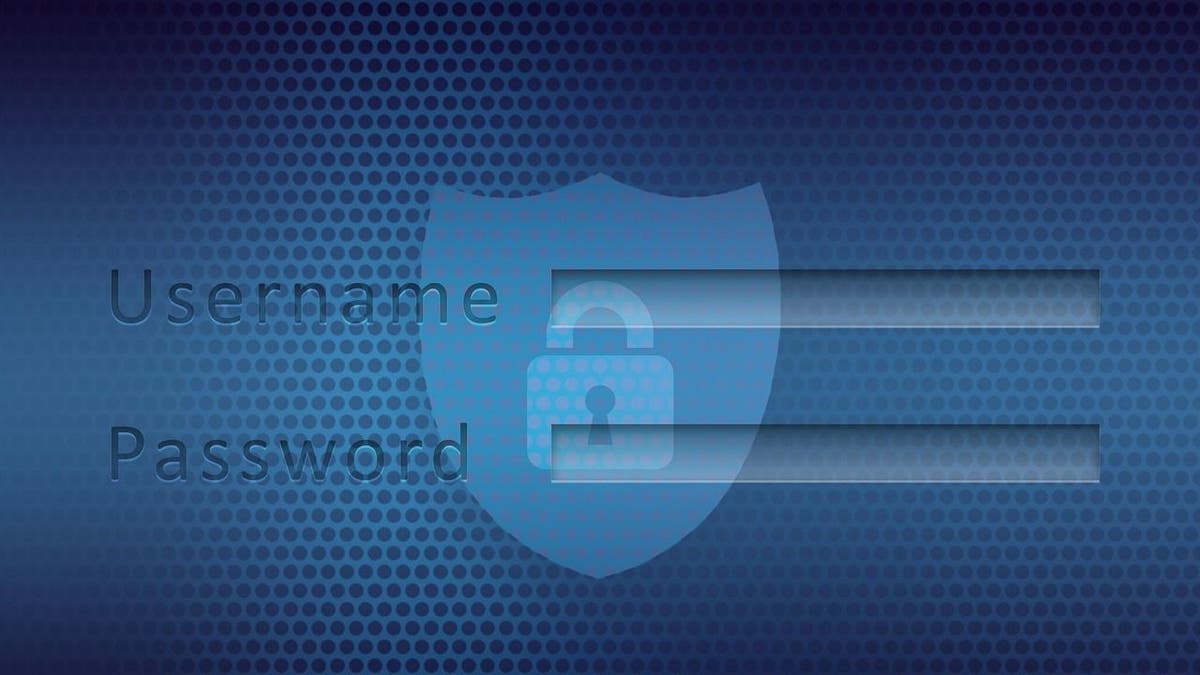 securing passwords 4