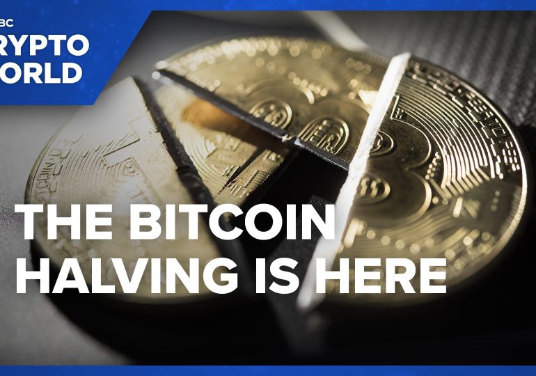 Bitcoin miners upgrade power centers and get into AI to brace for slashed revenue post halving