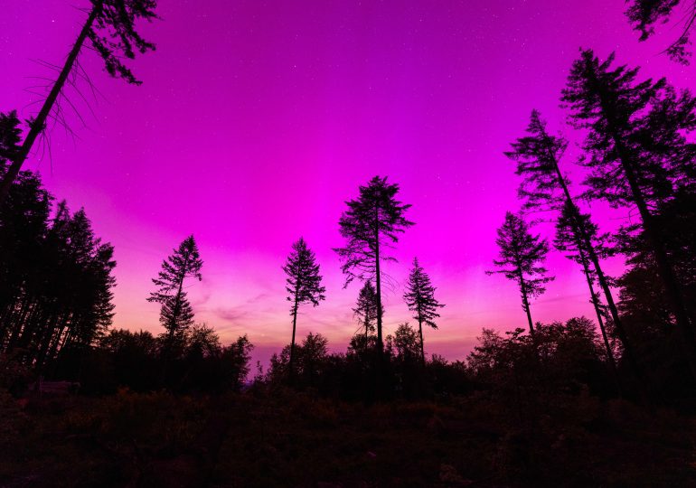 Photos from across the globe show spectacular displays of the aurora borealis