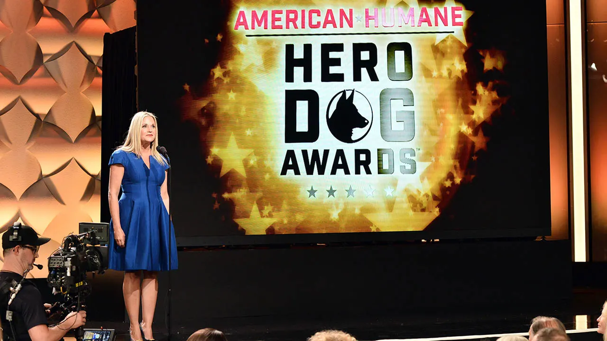 Dogs who comfort sick children, leap out of helicopters are nominated for American Humane award