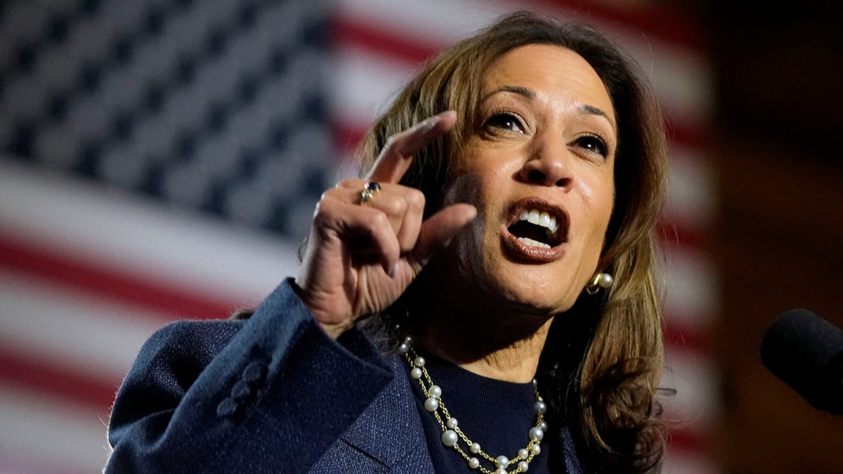 Harris fundraiser page says portion of donations will be directed to 'recount account'