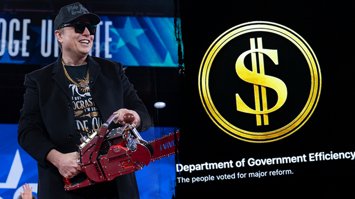 DOGE initial findings on Defense Department DEI spending could save $80M, agency says