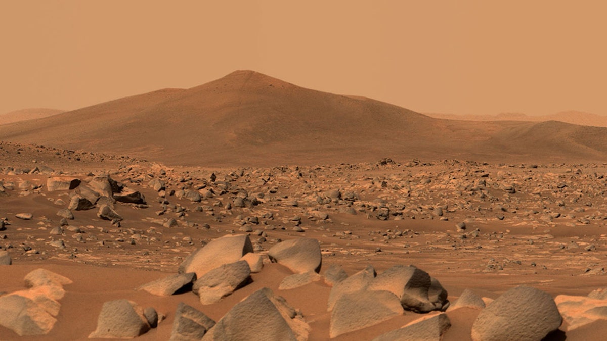 SpaceX to send Starship to Mars next year, Elon Musk confirms
