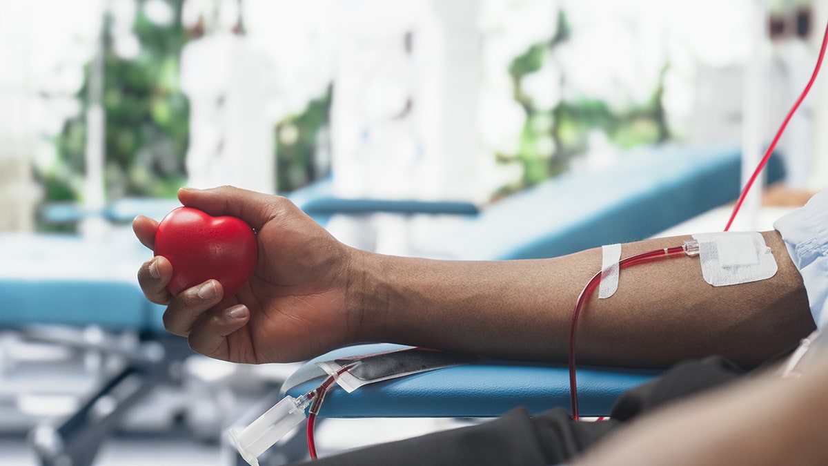 Scientists can detect junk food consumption in blood and urine tests