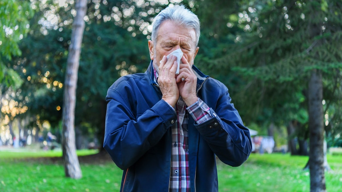 Top 10 'allergy capitals' of the US, plus 4 tips to manage symptoms